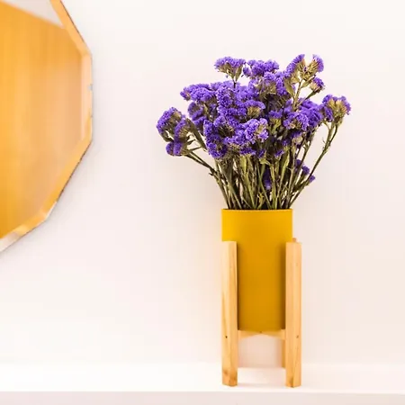 Tatil Evi Casa Da Avo Clementina Nº32 *