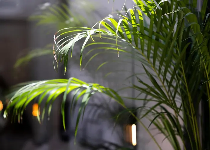 Casa Da Avo Clementina Nº32 *