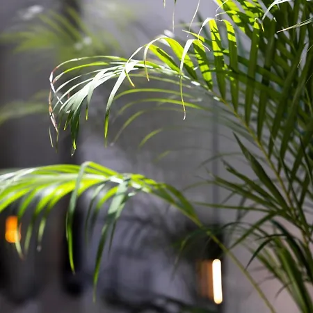 Casa Da Avo Clementina Nº32 *